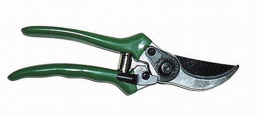 ����� S-813
