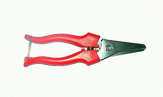 ����� ����� K-2