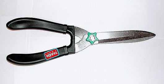 ����� ��� B-339