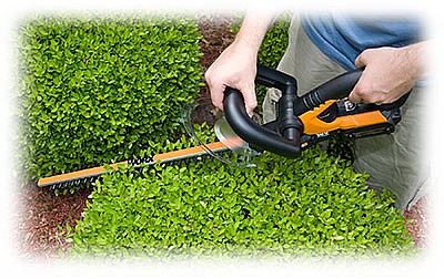 ����� ����� WORX 20V