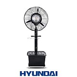 ������ ����� ��� - ���� ������ HD3034