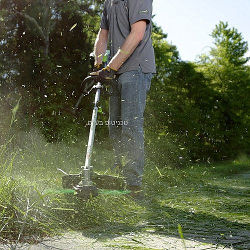 ���� ����  greenworks ���� �����- 24V - ��� ����