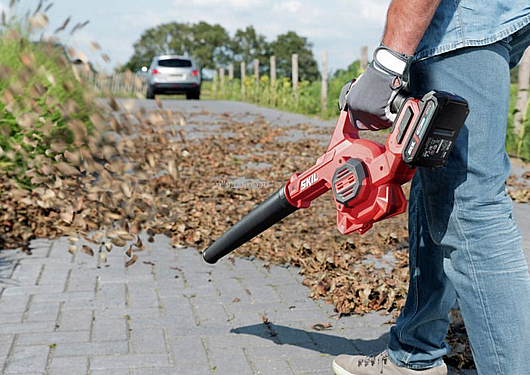 ���� �� ������ ���� 20V Brushless �������� + ���� ����� + ����� 2.0Ah + ���� +��� ����� SKIL