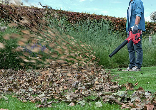 ���� �� ������ ���� 20V Brushless �������� + ���� ����� + ����� 2.0Ah + ���� +��� ����� SKIL