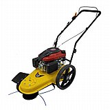 ������ / ����� �����