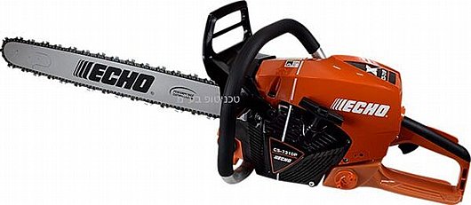 ���� ����� ��� 7310 ECHO